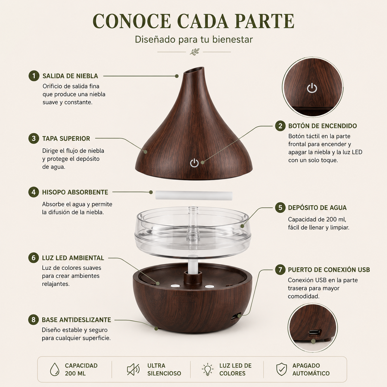 Difusor Decorativo con Luz Ambiental
